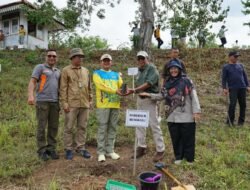 Kerusakan Tutupan Hutan Cukup Tinggi, Pemprov Bengkulu Tenga Berupaya mengatasi dengan Hal Ini