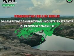 WALHI Bengkulu Ajak Masyarakat Pilih Pemimpin Peduli Lingkungan di Pemilu 2024